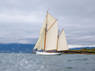 7973-Richard Mille Fife Regatta 2026 – Credit PKC Media