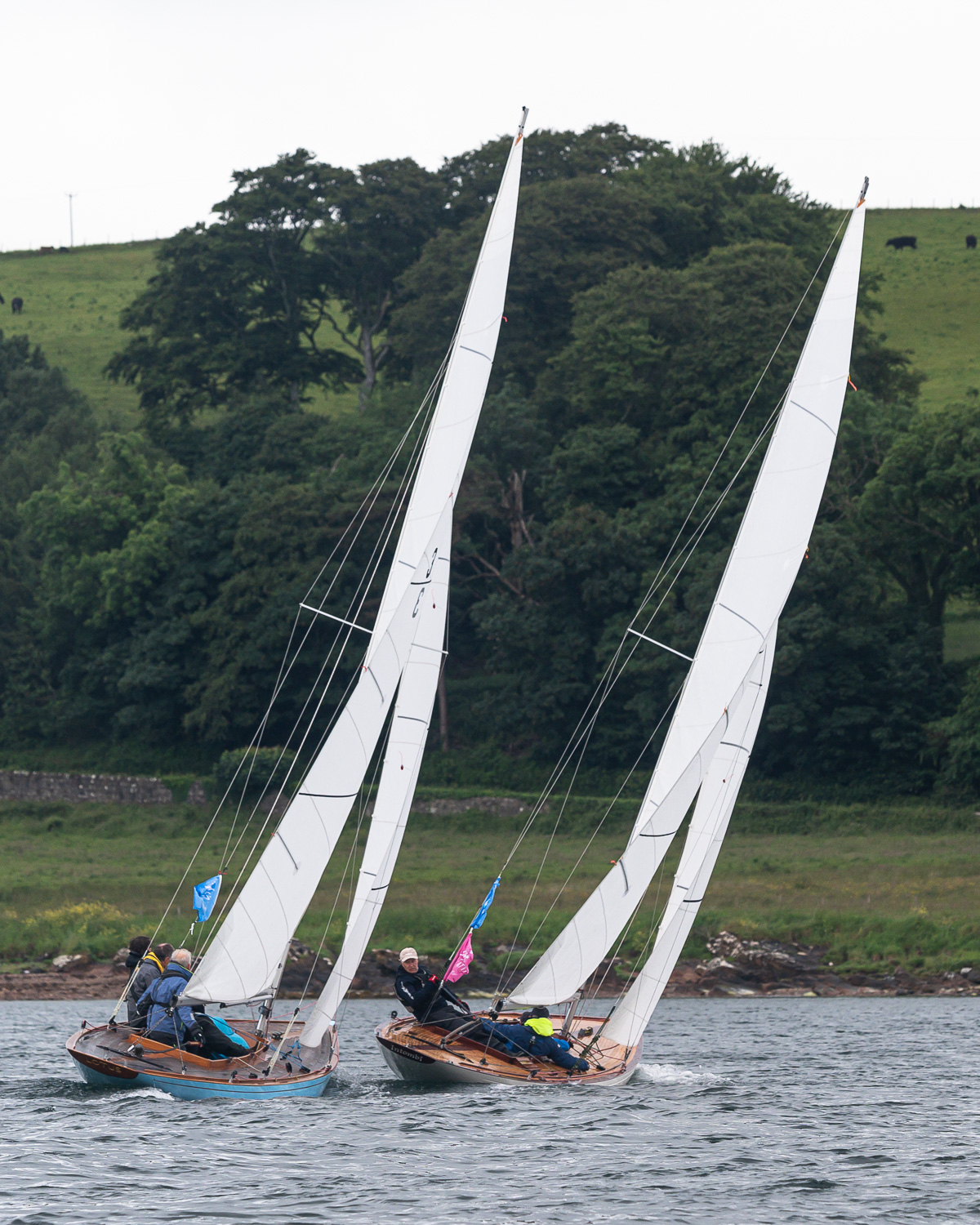 _JRT5901-Richard Mille Fife Regatta 2026 – Credit JRT Photo